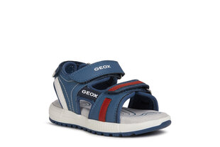 Basutės vaikams Geox Sandal Alben Boy, mėlynos kaina ir informacija | Basutės vaikams | pigu.lt