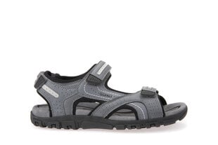 Geox мужские сандалии MO SANDAL STRADA цена и информация | Мужские шлепанцы, босоножки | pigu.lt