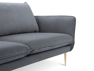 Sofa Cosmopolitan Design Florence 2S, pilka kaina ir informacija | Sofos | pigu.lt