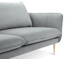 Sofa Cosmopolitan Design Florence 4S, šviesiai pilka kaina ir informacija | Sofos | pigu.lt