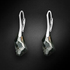 Серебряные серьги "Гиперборея (Silver Night)" с кристаллами Swarovski™ цена и информация | Серьги | pigu.lt