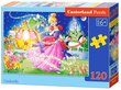 Dėlionė Castorland Cinderella, 120 detalių kaina ir informacija | Dėlionės (puzzle) | pigu.lt