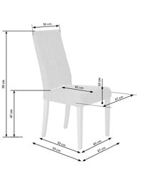 Комплект из 2 стульев Halmar Diego, зеленый цена и информация | Стулья для кухни и столовой | pigu.lt