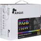 Inter-Tech Argus RGB-750W CM II цена и информация | Maitinimo šaltiniai (PSU) | pigu.lt