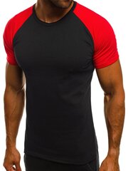 Marškinėliai vyrams Dilan kaina ir informacija | Vyriški marškinėliai | pigu.lt