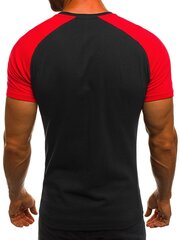 Marškinėliai vyrams Dilan kaina ir informacija | Vyriški marškinėliai | pigu.lt