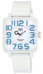 Часы Q&Q VR06J001Y цена и информация | Женские часы | pigu.lt