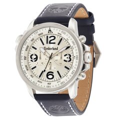 Часы Timberland TBL.13910JS/07A цена и информация | Мужские часы | pigu.lt