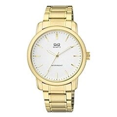 Часы Q&Q Q868J001Y цена и информация | Мужские часы | pigu.lt