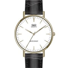 Laikrodis Q&Q QA20J806Y kaina ir informacija | Vyriški laikrodžiai | pigu.lt