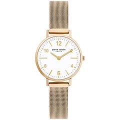 Laikrodis Pierre Cardin PC902662F19 kaina ir informacija | Moteriški laikrodžiai | pigu.lt