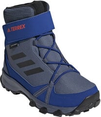 Adidas обувь для подростков Terrex Snow CF C.RD Blue Grey цена и информация | Детские сапоги | pigu.lt