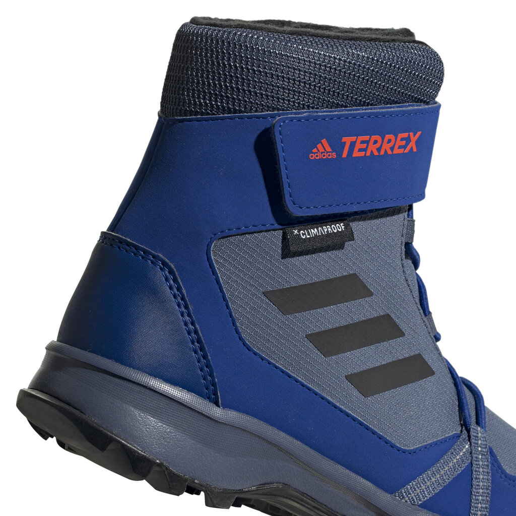 Aulinukai berniukams Adidas Terrex Snow CF C.RD, mėlyni kaina ir informacija | Aulinukai vaikams | pigu.lt