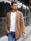 Elegantiškas rudas vyriškas paltas "Sugal" цена и информация | Vyriški paltai  | pigu.lt