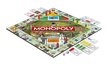 Stalo žaidimas Monopoly Lietuva цена и информация | Stalo žaidimai, galvosūkiai | pigu.lt