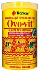 TROPICAL Ovo-Vit - корм для аквариумных рыб - 1000 мл/200 г цена и информация | Корм для рыб | pigu.lt