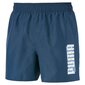 Šortai Puma Ess + Summer Short, mėlyna kaina ir informacija | Vyriški šortai | pigu.lt