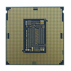 Процессор Intel Xeon E-2234 3,6 ГГц Box 8 МБ цена и информация | Процессоры (CPU) | pigu.lt