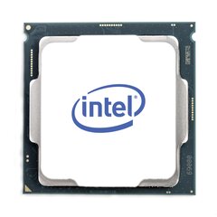 Процессор Intel Xeon E-2234 3,6 ГГц Box 8 МБ цена и информация | Процессоры (CPU) | pigu.lt