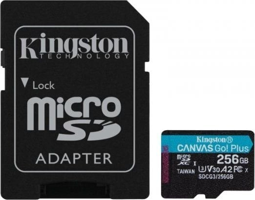 Kingston SDCG3/256GB kaina ir informacija | Atminties kortelės telefonams | pigu.lt