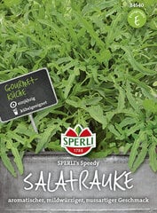 Gražgarstės Speedy цена и информация | Семена овощей, ягод | pigu.lt