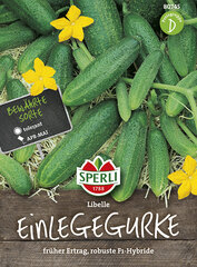 Agurkai Libelle F1 kaina ir informacija | Daržovių, uogų sėklos | pigu.lt