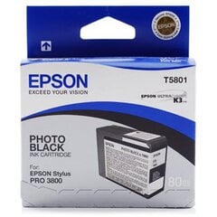 Картриджи для струйных принтеров Epson, Stylus PRO 3800, 80 мл цена и информация | Картриджи для струйных принтеров | pigu.lt