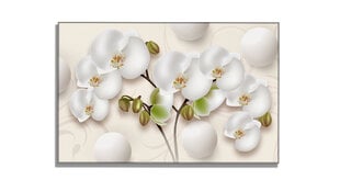Paveikslas Orchidėja kaina ir informacija | Reprodukcijos, paveikslai | pigu.lt