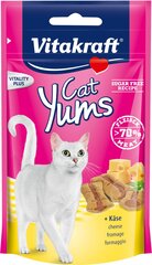 Vitakraft Cat Yums katėms, su sūriu, 40g kaina ir informacija | Skanėstai katėms | pigu.lt