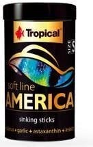Minkštas pašaras visaėdėms ir mėsėdėms Amerikos žuvims Tropical Soft Line America S, 100ML kaina ir informacija | Maistas žuvims | pigu.lt