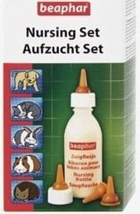 Šuniukų ir kačiukų šėrimo komplektas - buteliukas su čiulptuku Beaphar kaina ir informacija | Priežiūros priemonės gyvūnams | pigu.lt