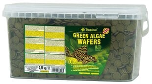 Pašaras dugninėms žuvims Green Algae Wafers, 2,25 kg цена и информация | Корм для рыб | pigu.lt