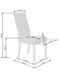 2-jų kėdžių komplektas Halmar Diego, pilkas kaina ir informacija | Virtuvės ir valgomojo kėdės | pigu.lt