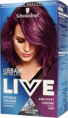 Plaukų dažai Schwarzkopf Live Urban Metallics, U69 Amethyst Chrome kaina ir informacija | Plaukų dažai | pigu.lt