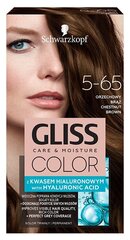 Plaukų dažai Schwarzkopf GLISS COLOR 5-65 Kaštoninė kaina ir informacija | Plaukų dažai | pigu.lt