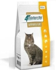 VetExpert 4t Veterinary Diet Cat Urinary, 2 kg kaina ir informacija | Sausas maistas katėms | pigu.lt