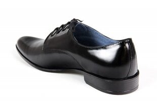 Полувоенные ботинки Moro  цена и информация | Мужские ботинки | pigu.lt