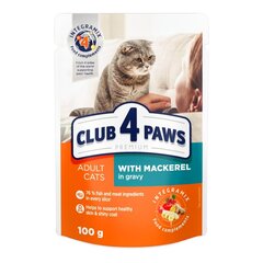 Полноценный консервированный корм для взрослых кошек со скумбрией в соусе Club 4 Paws Premium, 0,1 кг / 24 шт. цена и информация | Консервы для кошек | pigu.lt