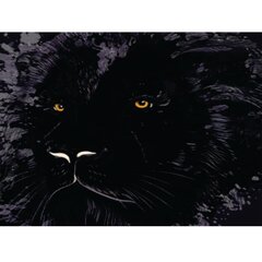 Fototapetai - Liūto iliustracija tamsiomis spalvomis kaina ir informacija | Fototapetai | pigu.lt