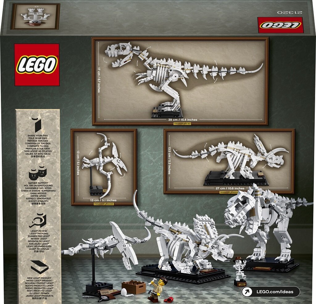 21320 LEGO® Ideas Dinozaurų fosilijos kaina ir informacija | Konstruktoriai ir kaladėlės | pigu.lt