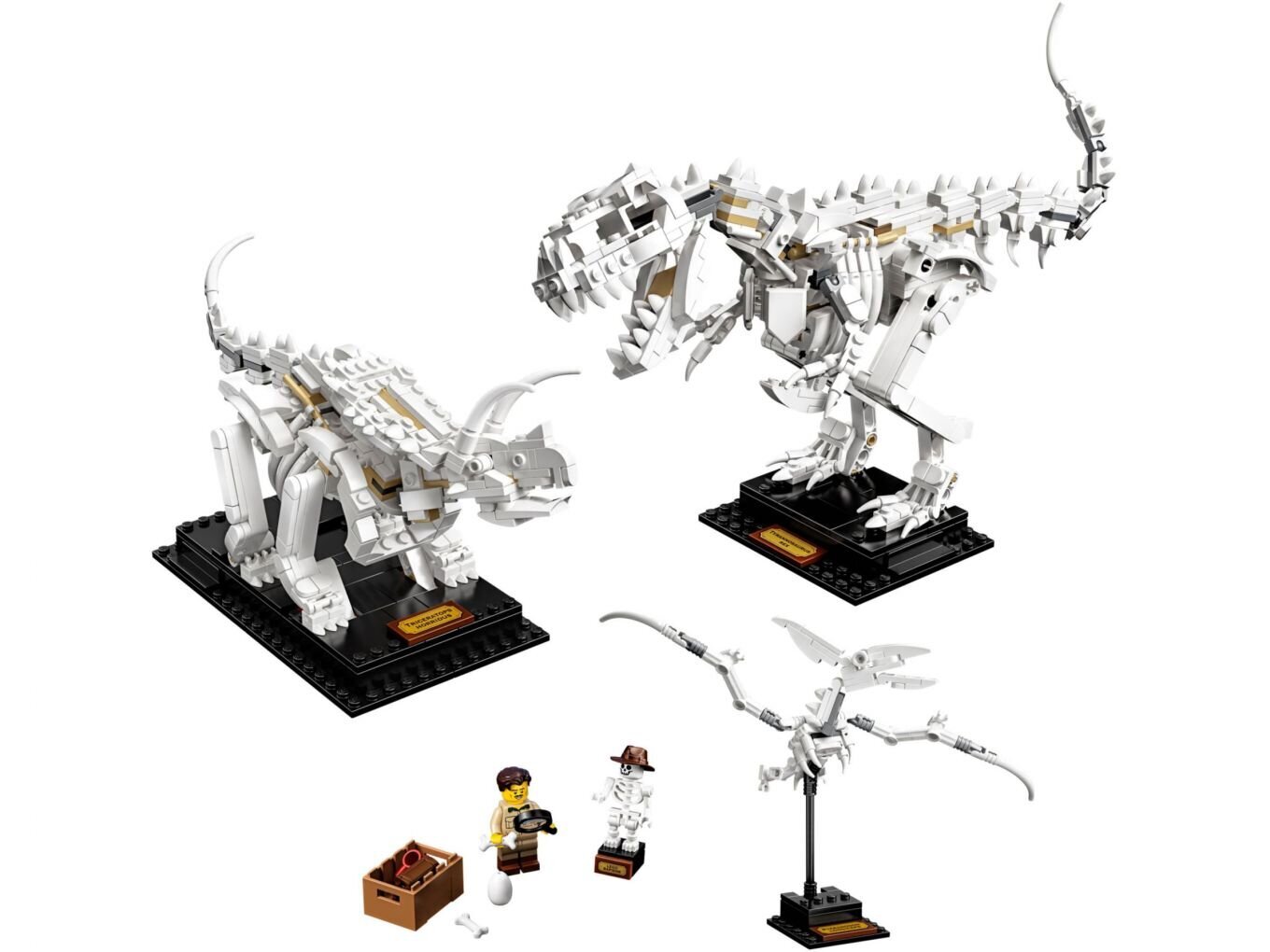 21320 LEGO® Ideas Dinozaurų fosilijos kaina ir informacija | Konstruktoriai ir kaladėlės | pigu.lt