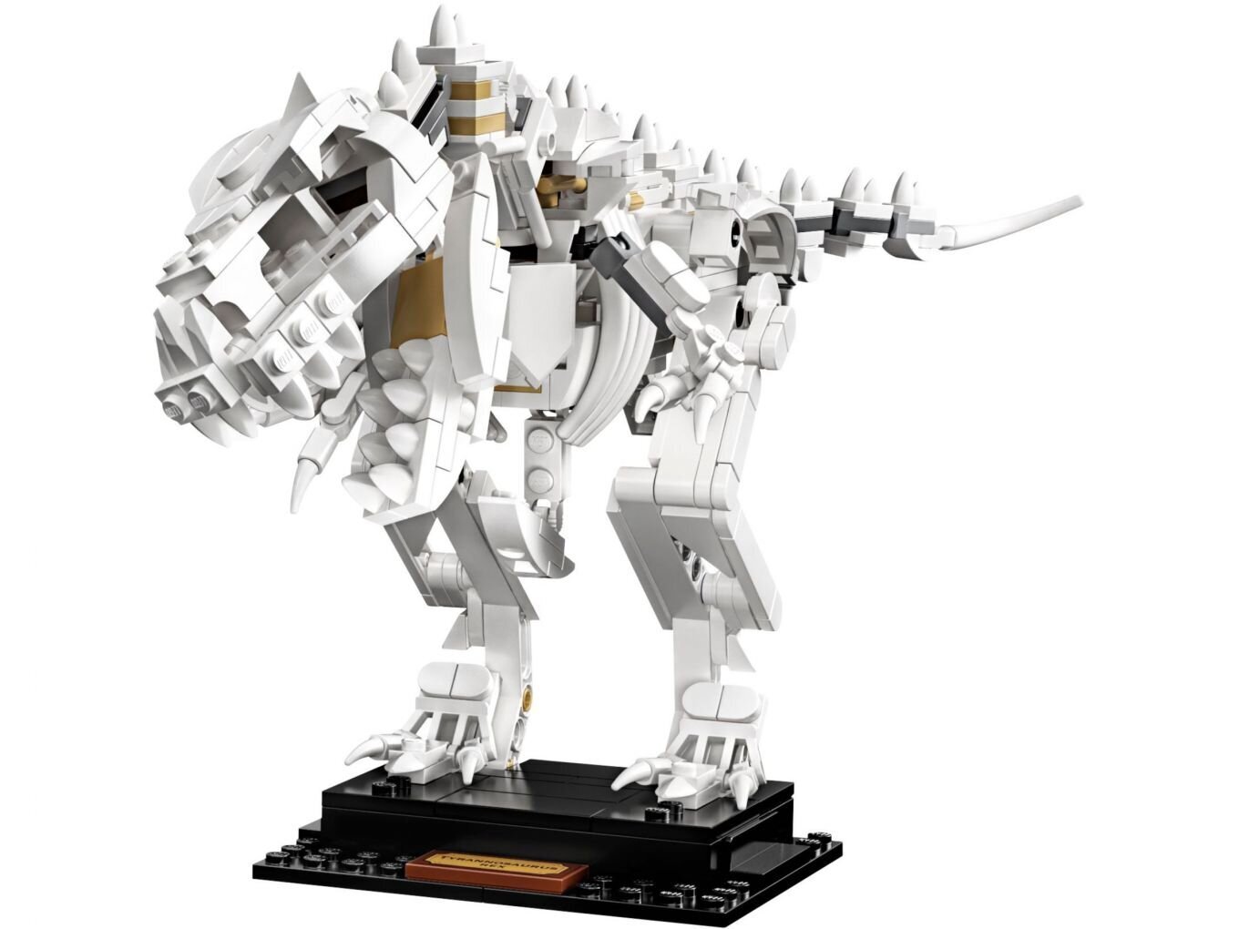 21320 LEGO® Ideas Dinozaurų fosilijos kaina ir informacija | Konstruktoriai ir kaladėlės | pigu.lt