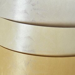 Картон фактурный Olympia, жемчужного цвета, 20 листов цена и информация | Тетради и бумажные товары | pigu.lt