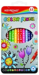Цветные карандаши в металлической коробке, 12 шт цена и информация | Принадлежности для рисования, лепки | pigu.lt