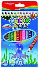 Цветные карандаши Jumbo, 12 шт цена и информация | Принадлежности для рисования, лепки | pigu.lt