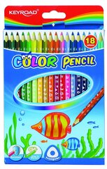 Цветные карандаши, трехгранные 18 шт цена и информация | Принадлежности для рисования, лепки | pigu.lt