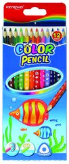 Цветные карандаши, трехгранные 12 шт. цена и информация | Принадлежности для рисования, лепки | pigu.lt