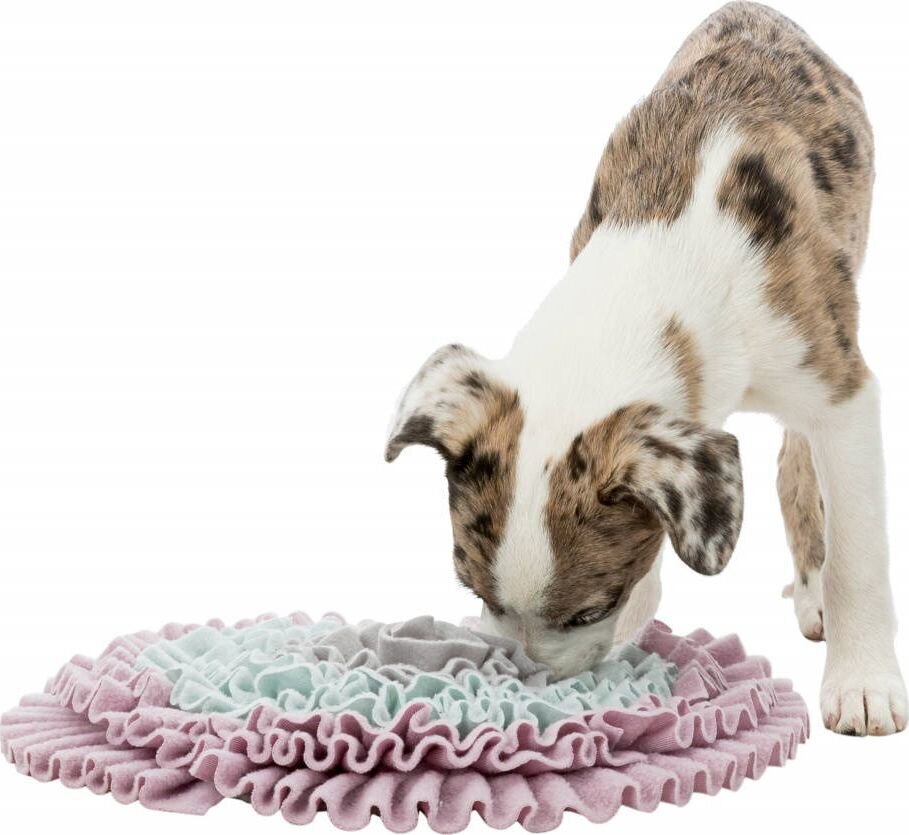 Trixie lavinamasis kilimėlis, 38x38 cm kaina ir informacija | Žaislai šunims | pigu.lt