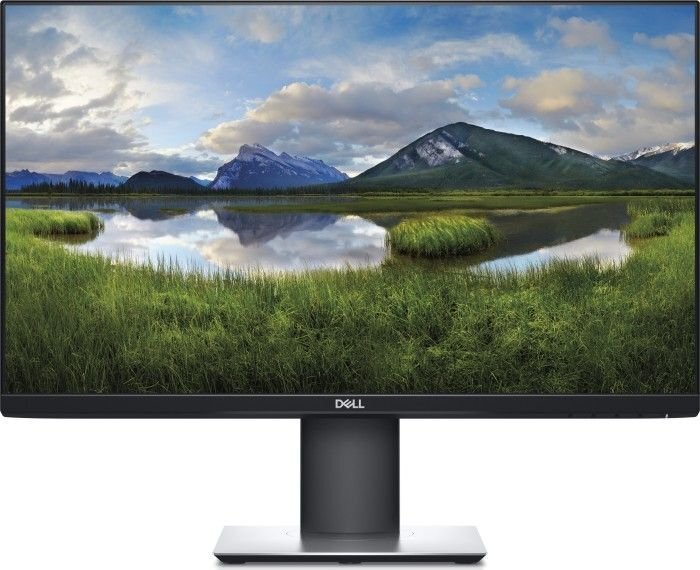 Dell P2421D цена и информация | Monitoriai | pigu.lt