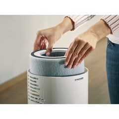 Filtrs AirFresh Clean 300 цена и информация | Очистители воздуха | pigu.lt
